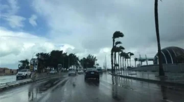 تحذير جوي ليلاً.. توقعات بليلة شديدة البرودة داخل المنزل